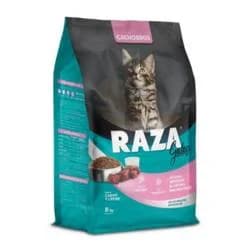 RAZA GATO BEBE SUELTO