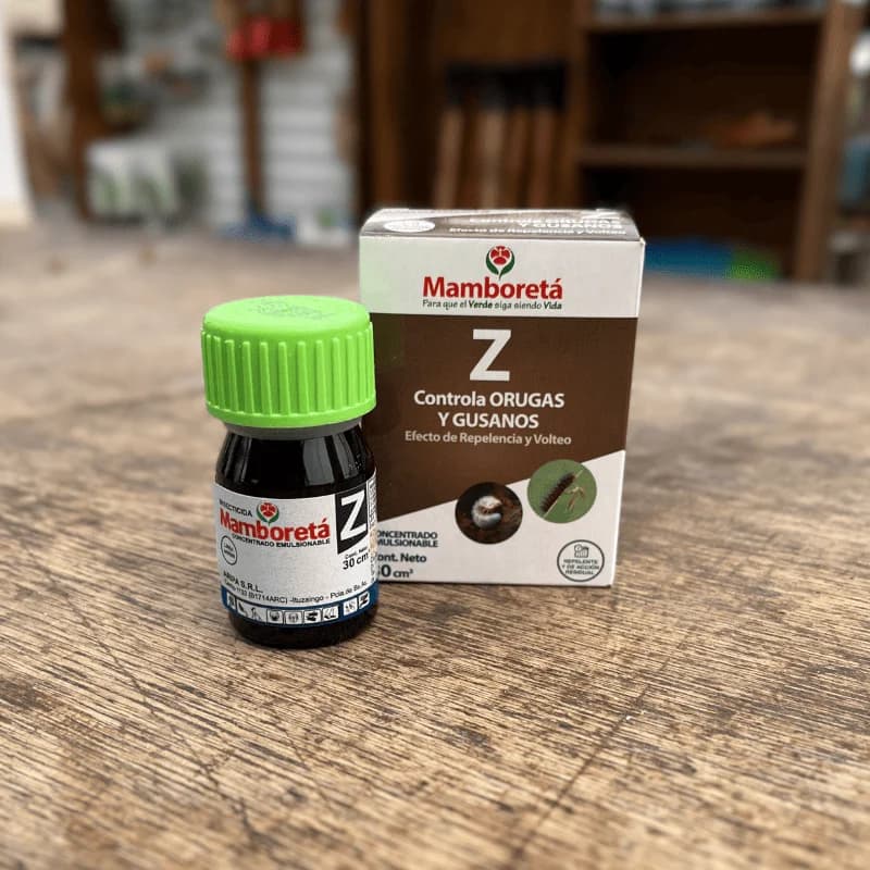 MAMBORETA  Z