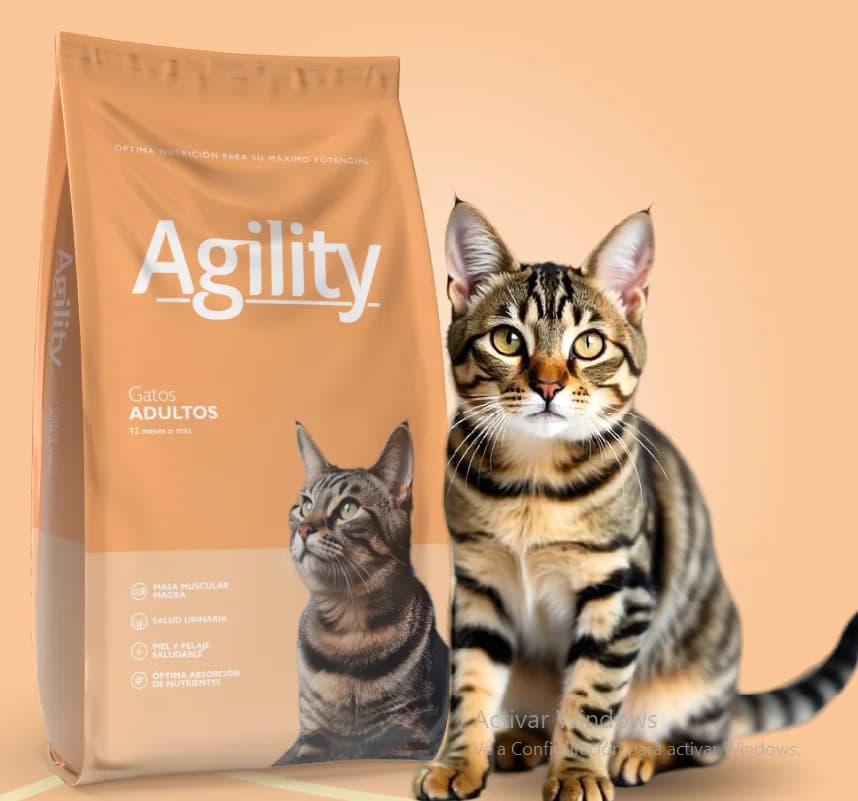AGILITY GATO ADULTO X10KG