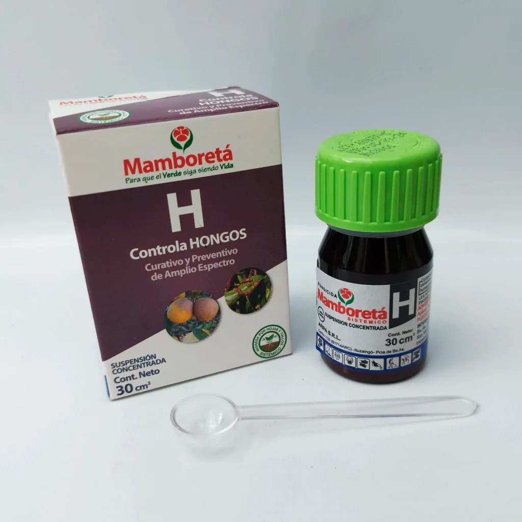 MAMBORETA H