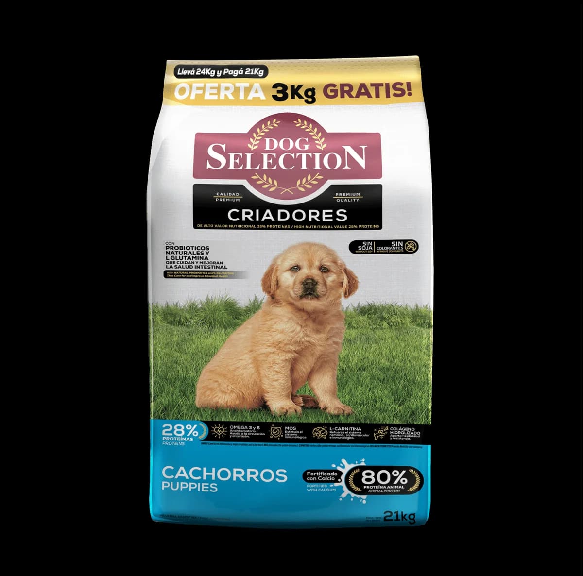 Dog Selection CACHORRO  SUELTO