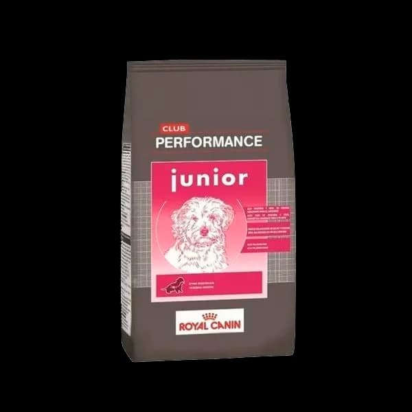 RC Performance CACHORRO X15KG
