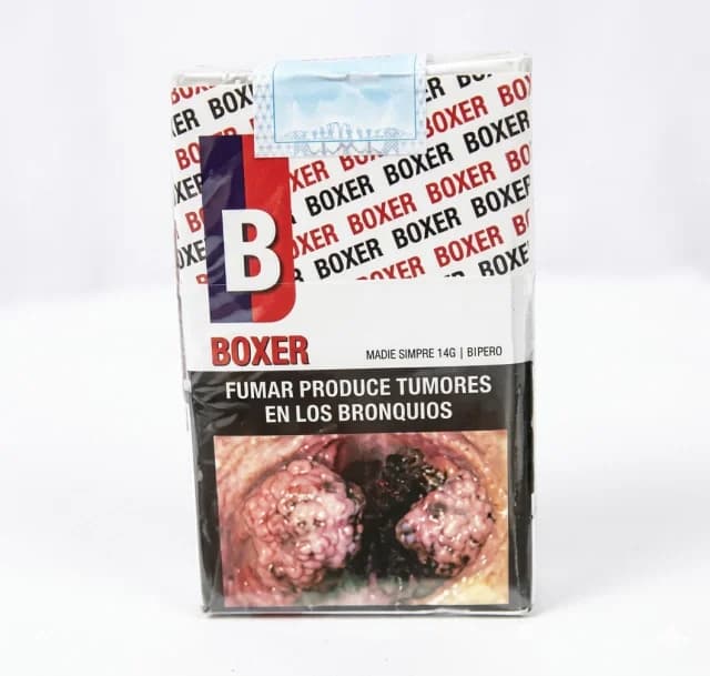Boxer x20