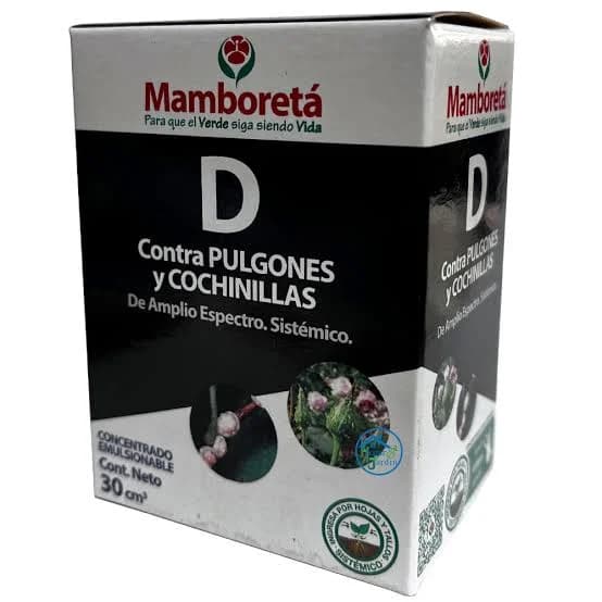 MAMBORETA D