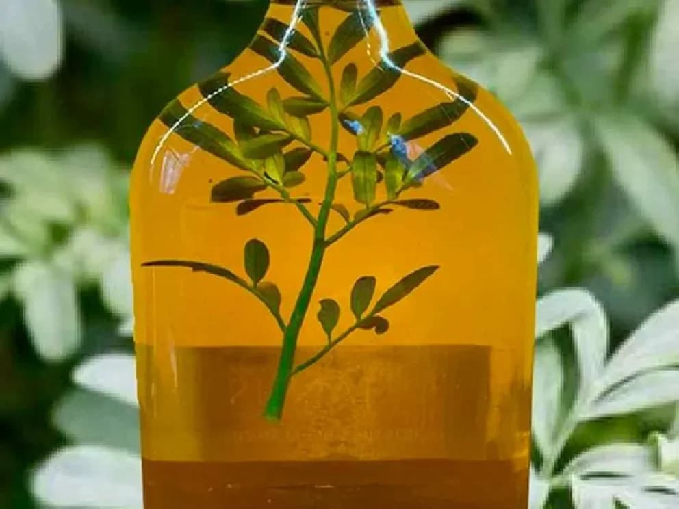 CAÑA CON RUDA GRACHU