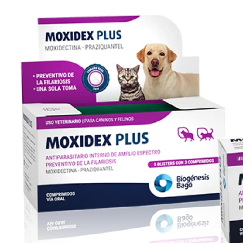 MOXIDEX PLUS BLISTER 3 COMPRIMIDOS