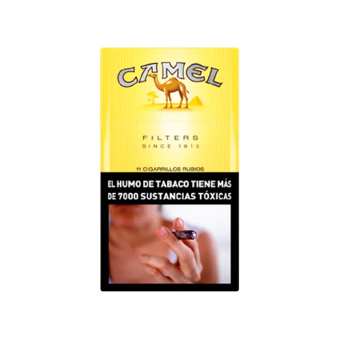Camell Yellow x12