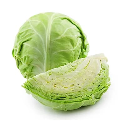 Repollo