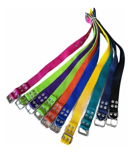 COLLAR  L ANCHO 25MM   (2.5CM)