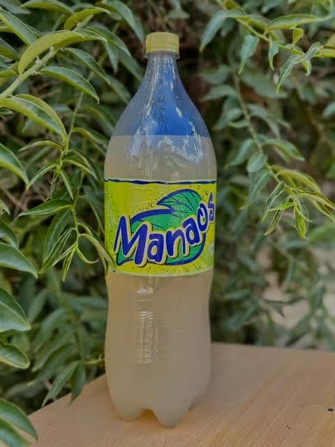 MANAOS POMELO