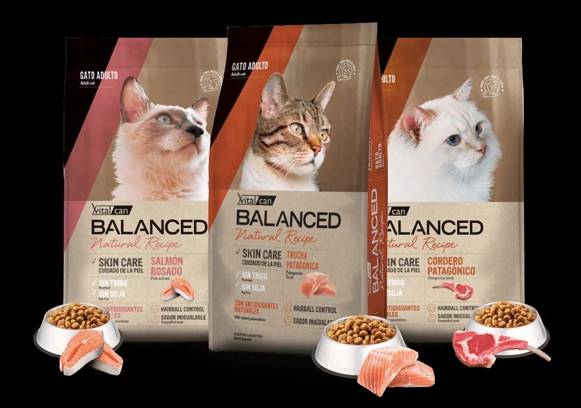 VITAL CAN BALANCED GATO ADULTO NATURAL RECIPE 15KG
