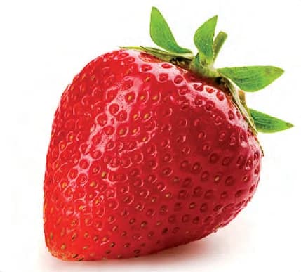 Frutilla