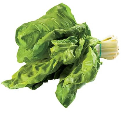 Acelga