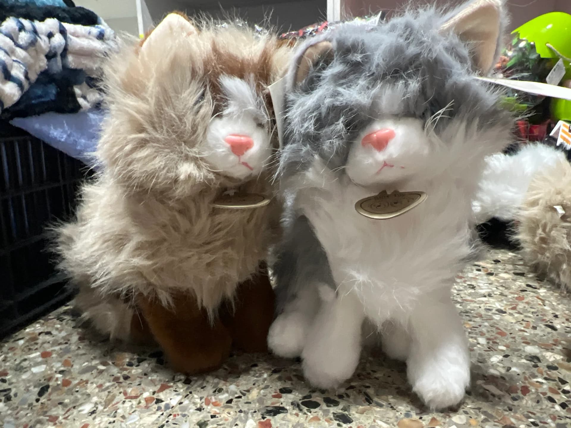 GATO REAL
