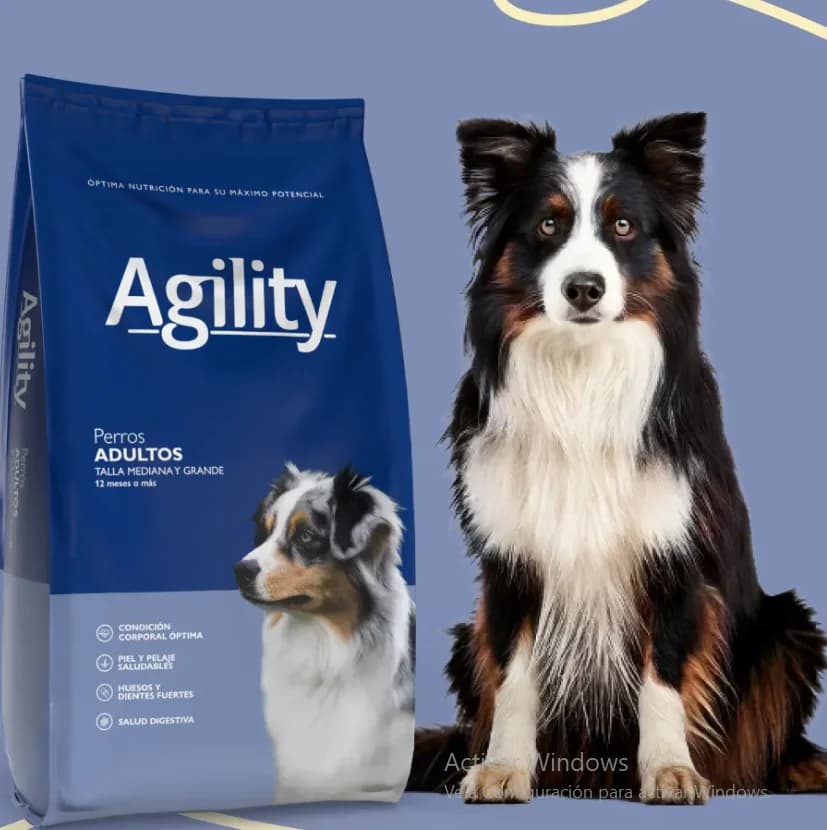 AGILITY AD X 20