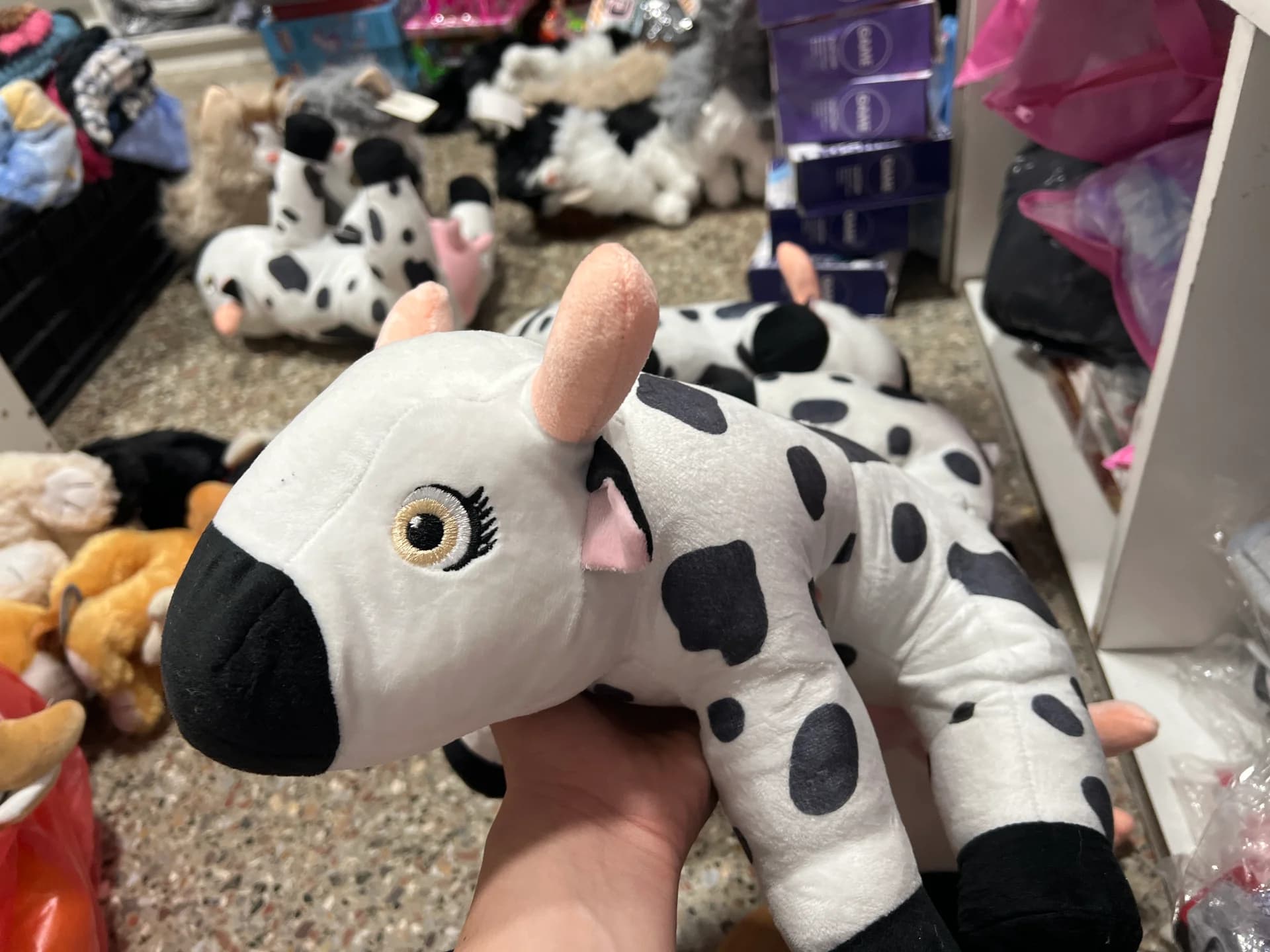 VACA LOLA