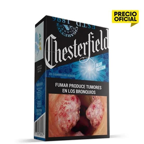 CHESTERFIELD MENTOLADO 20 BOX