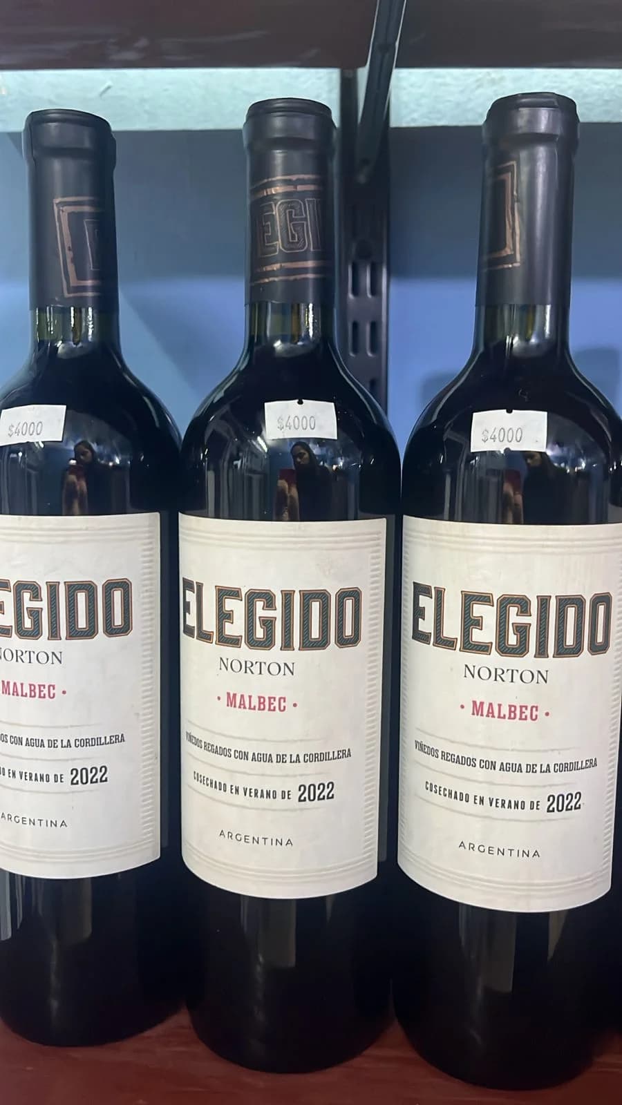VINO ELEGIDO NORTON MALBEC 750ml